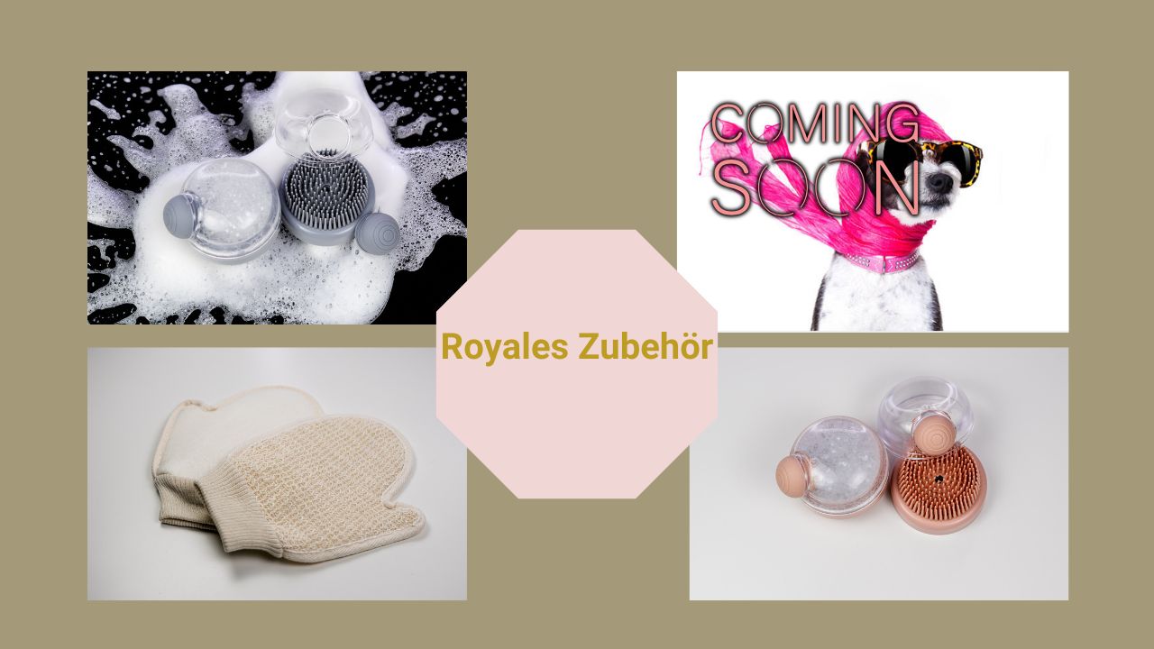 Royales Zubehör für Prince und Princess